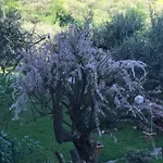 Residenza Dei Piaceri Perduti-rosa Vakantiehuis *