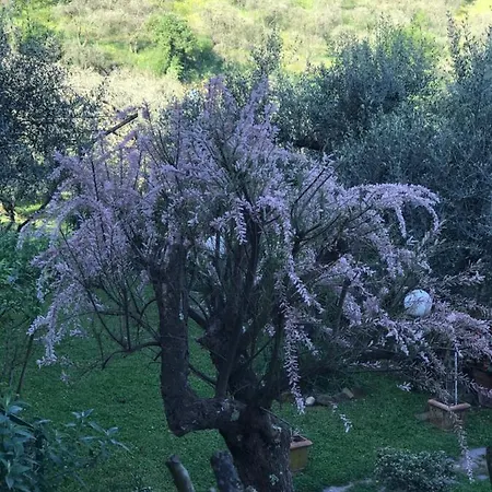 Residenza Dei Piaceri Perduti-rosa Prázdninový dům *